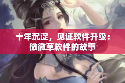 十年沉淀，见证软件升级：微微草软件的故事