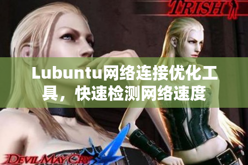 Lubuntu网络连接优化工具，快速检测网络速度