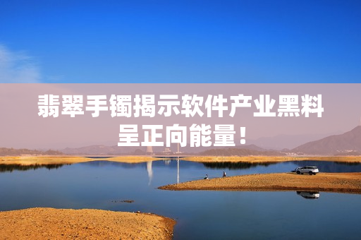 翡翠手镯揭示软件产业黑料呈正向能量！