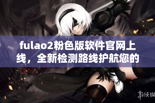 fulao2粉色版软件官网上线，全新检测路线护航您的电脑安全