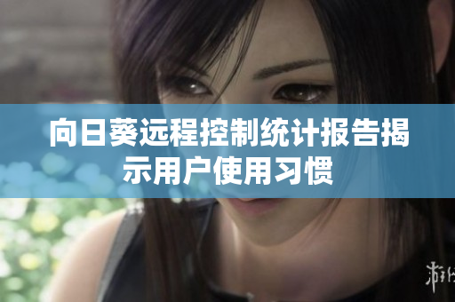 向日葵远程控制统计报告揭示用户使用习惯