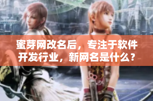 蜜芽网改名后，专注于软件开发行业，新网名是什么？