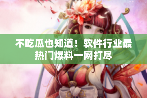 不吃瓜也知道！软件行业最热门爆料一网打尽