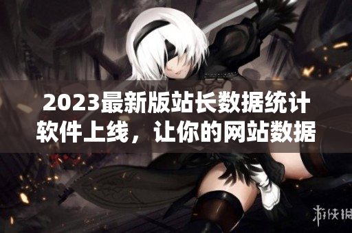 2023最新版站长数据统计软件上线，让你的网站数据更精准分析！