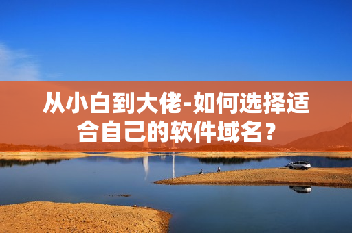 从小白到大佬-如何选择适合自己的软件域名？