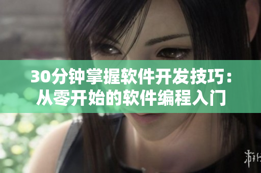 30分钟掌握软件开发技巧：从零开始的软件编程入门