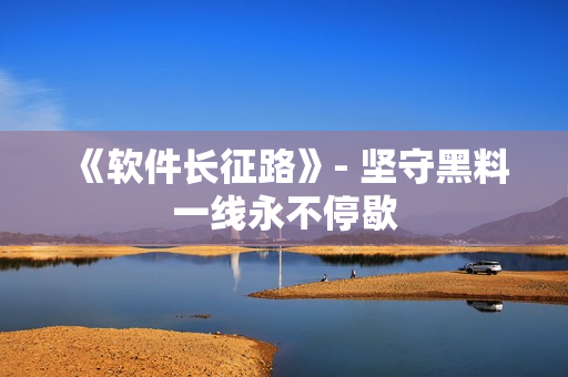 《软件长征路》- 坚守黑料一线永不停歇