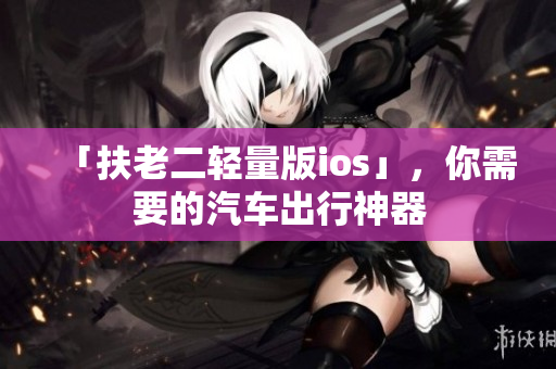 「扶老二轻量版ios」，你需要的汽车出行神器