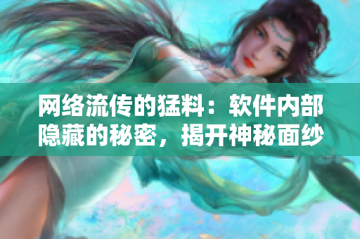 网络流传的猛料：软件内部隐藏的秘密，揭开神秘面纱！