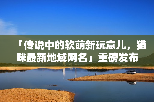 「传说中的软萌新玩意儿，猫咪最新地域网名」重磅发布！