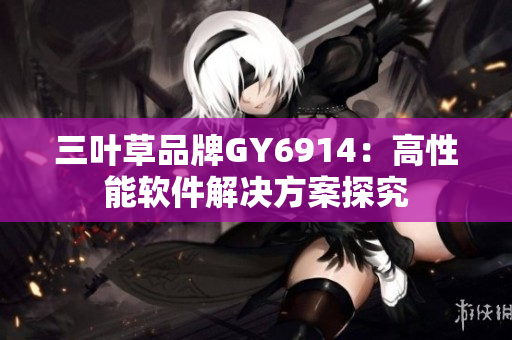 三叶草品牌GY6914：高性能软件解决方案探究