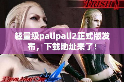 轻量级palipali2正式版发布，下载地址来了！