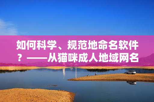 如何科学、规范地命名软件？——从猫咪成人地域网名看起