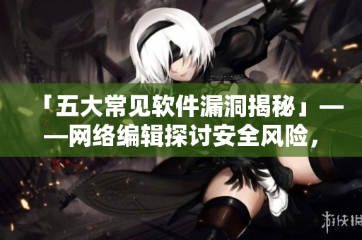 「五大常见软件漏洞揭秘」——网络编辑探讨安全风险，提醒用户保护电脑数据。