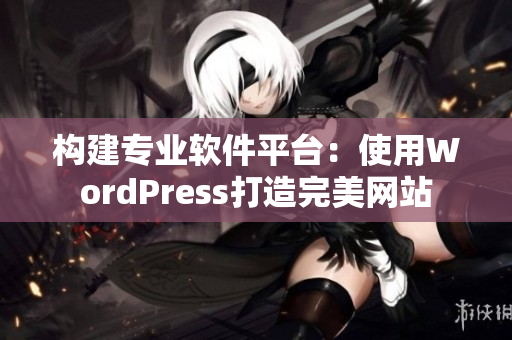 构建专业软件平台：使用WordPress打造完美网站