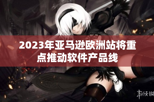 2023年亚马逊欧洲站将重点推动软件产品线