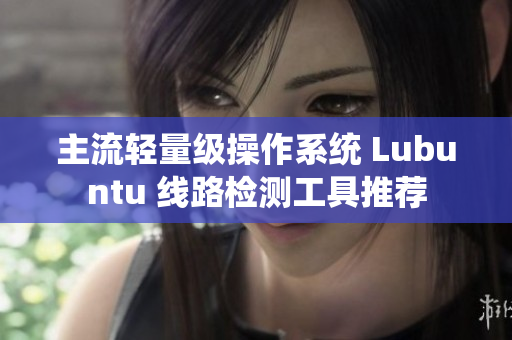 主流轻量级操作系统 Lubuntu 线路检测工具推荐