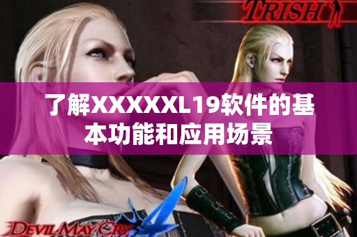 了解XXXXXL19软件的基本功能和应用场景