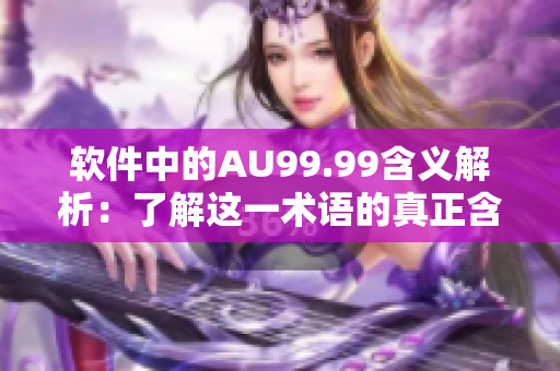 软件中的AU99.99含义解析：了解这一术语的真正含义