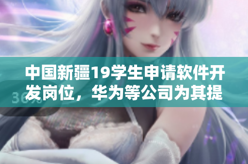 中国新疆19学生申请软件开发岗位，华为等公司为其提供机会