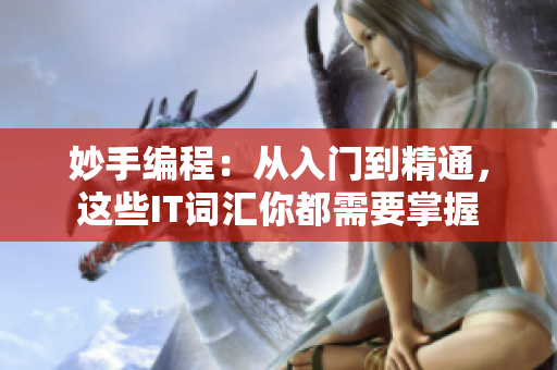 妙手编程：从入门到精通，这些IT词汇你都需要掌握