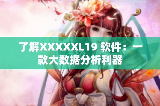 了解XXXXXL19 软件：一款大数据分析利器