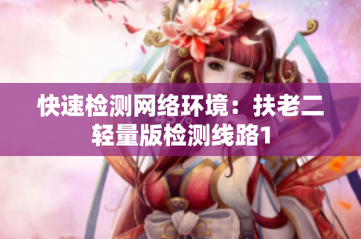 快速检测网络环境：扶老二轻量版检测线路1