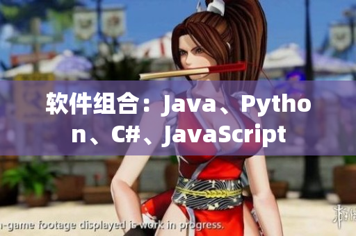 软件组合：Java、Python、C#、JavaScript