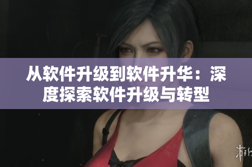 从软件升级到软件升华：深度探索软件升级与转型
