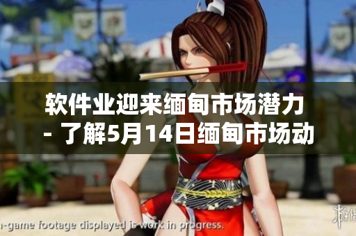 软件业迎来缅甸市场潜力 - 了解5月14日缅甸市场动向