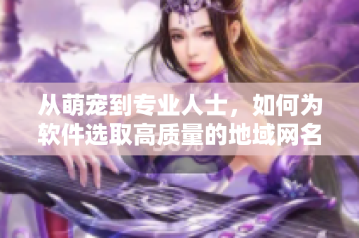 从萌宠到专业人士，如何为软件选取高质量的地域网名？