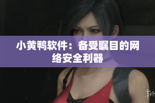 小黄鸭软件：备受瞩目的网络安全利器