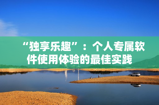 “独享乐趣”：个人专属软件使用体验的最佳实践