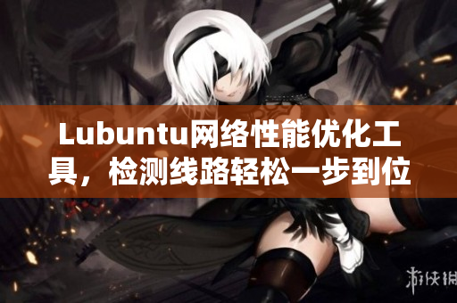 Lubuntu网络性能优化工具，检测线路轻松一步到位
