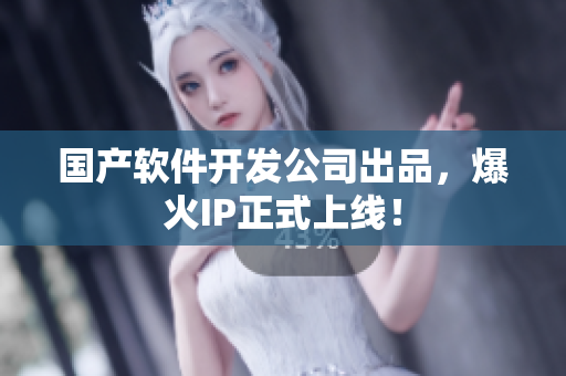 国产软件开发公司出品，爆火IP正式上线！