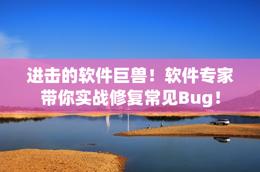 进击的软件巨兽！软件专家带你实战修复常见Bug！