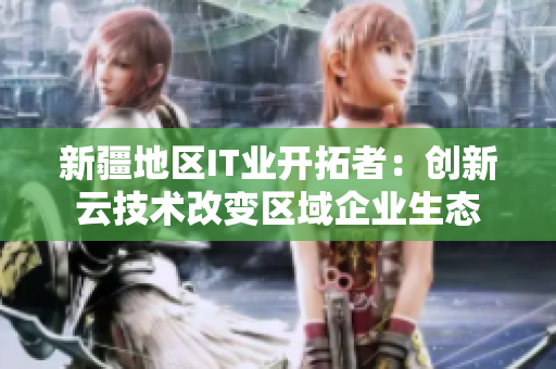 新疆地区IT业开拓者：创新云技术改变区域企业生态