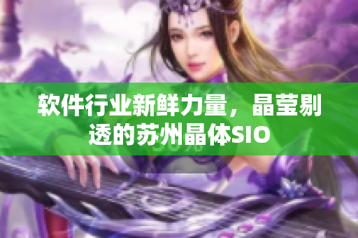 软件行业新鲜力量，晶莹剔透的苏州晶体SIO