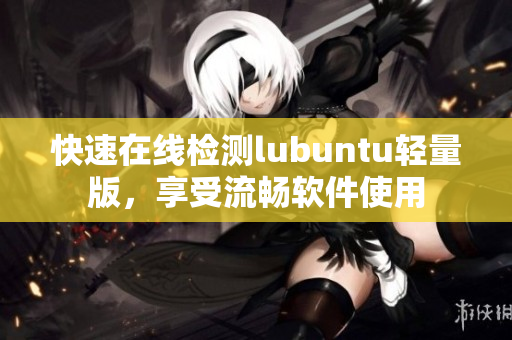 快速在线检测lubuntu轻量版，享受流畅软件使用