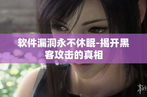 软件漏洞永不休眠-揭开黑客攻击的真相