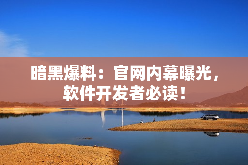 暗黑爆料：官网内幕曝光，软件开发者必读！