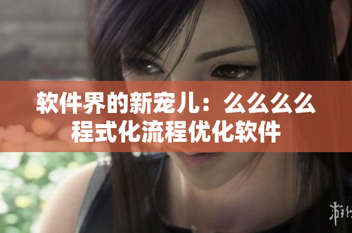 软件界的新宠儿：么么么么程式化流程优化软件