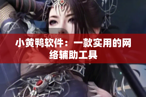 小黄鸭软件：一款实用的网络辅助工具