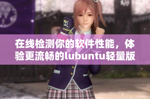在线检测你的软件性能，体验更流畅的lubuntu轻量版