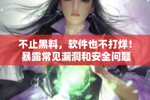 不止黑料，软件也不打烊！ 暴露常见漏洞和安全问题