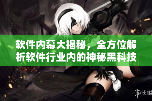软件内幕大揭秘，全方位解析软件行业内的神秘黑科技！