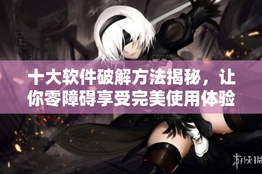 十大软件破解方法揭秘，让你零障碍享受完美使用体验