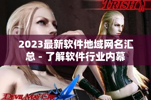2023最新软件地域网名汇总 - 了解软件行业内幕