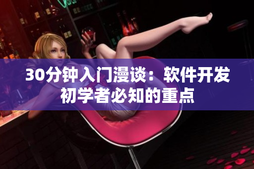 30分钟入门漫谈：软件开发初学者必知的重点