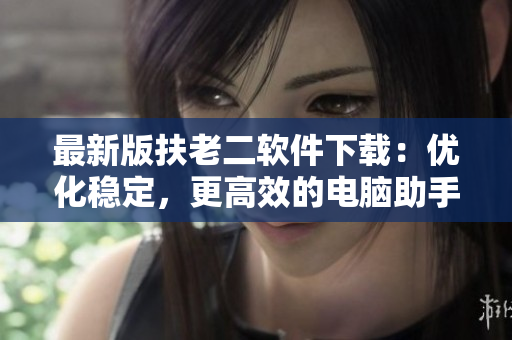 最新版扶老二软件下载：优化稳定，更高效的电脑助手
